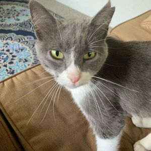 Meet your Posher, Emily